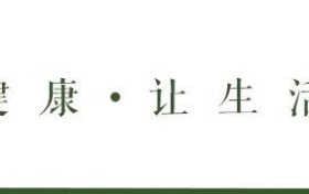 活动招募｜盛夏京彩——天恒文旅色彩研习夏令营火热招募中
